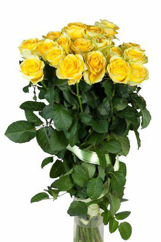 MWLY83ixFNcY-Kyxtka-14.jpg Aroma Rosas Frescas