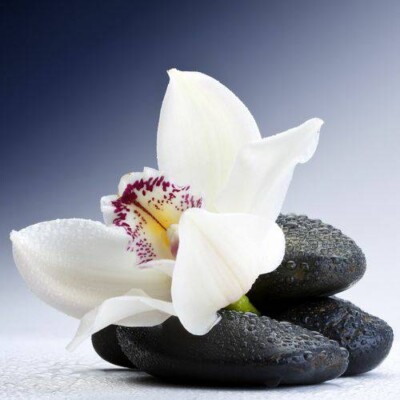 Aroma Orquidea