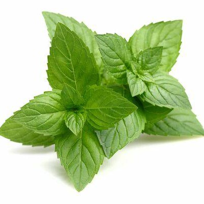 Aroma Menta Fresca