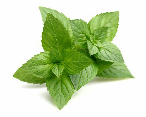 MWLmLsRH5_1aQI-jNXG-16.jpg Aroma Menta Fresca