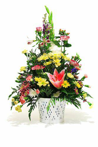 MWLzXkjNhnwGr12J7Ei-16.jpg Aroma Floral
