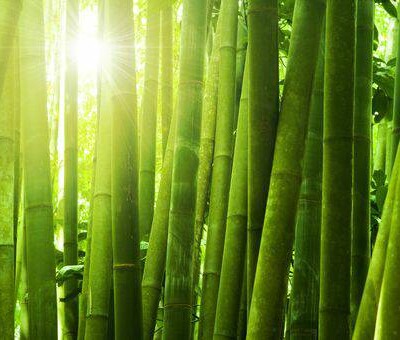 MWMHy2afPFalA9hiw3Z-14.jpg Aroma Bambu & Lima