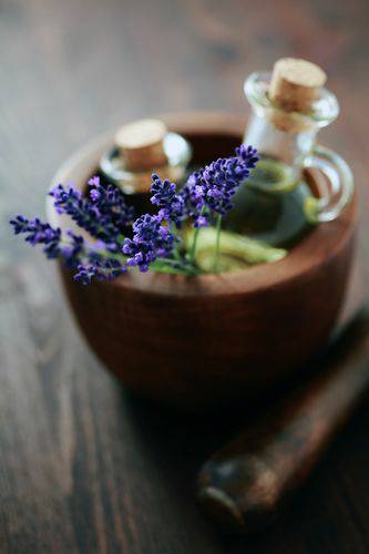 MbdJ8_iNkITFLFBZiRd-14.jpg Aroma Lavanda Especial