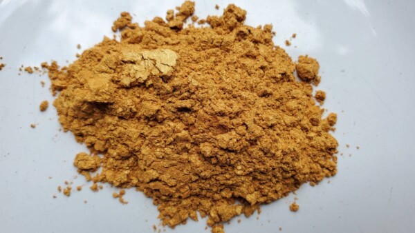 Mica Mayan