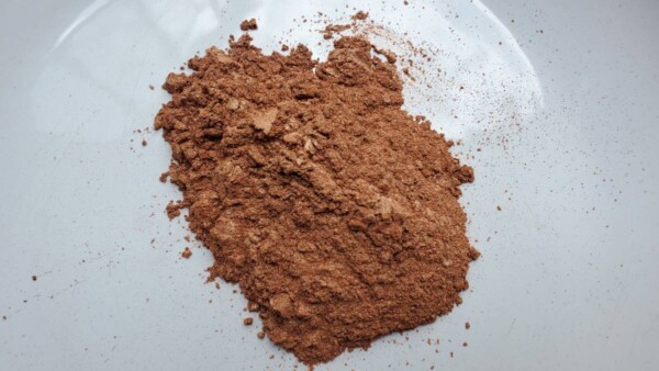 Mica Bronze