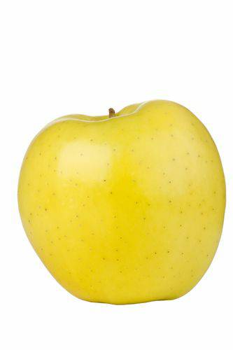 NJMH9moL0-X15fbofY2-19.jpg Aroma Manzana Amarilla