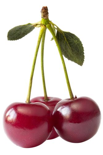 NSGeakqJRHQOw5x9jd7-17.jpg Aroma Cherry Fresca