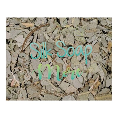 OIxOGTw8hXDcWAPYY6X-8.jpg Hojas Eucalipto