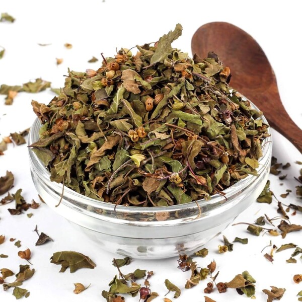 OY8YPEnsR2eV7gu5yhs-22.jpg Tulsi Albahaca Sagrada Hojas