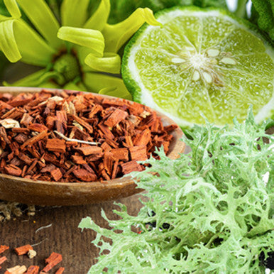 Aroma Musgo de Roble y Sandalo