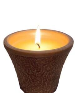 Aroma Citronela