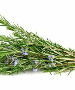 Aroma Romero