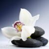 Aroma Orquidea