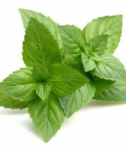 Aroma Menta Fresca
