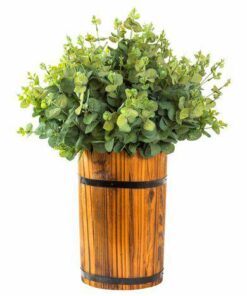 Aroma Eucalipto