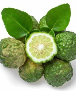 Aroma Bergamota