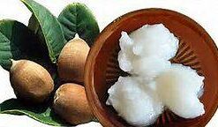 Aceite Babassu Organico