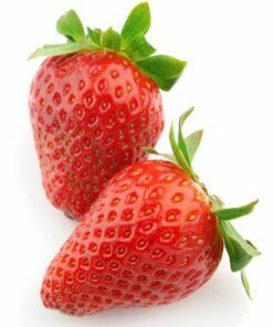 Aroma Fresa Fresca