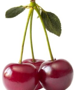 Aroma Cherry Fresca