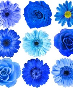 Aroma Flor Aguamarina