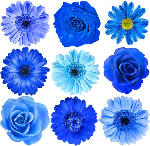 Aroma Flor Aguamarina