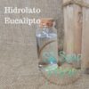Hidrolato Eucalipto
