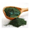 Espirulina Alga en Polvo