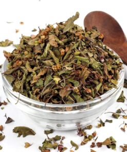 Tulsi Albahaca Sagrada Hojas