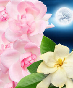 Aroma Sendero Lunar