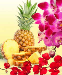 Aroma Piña y Orquidea