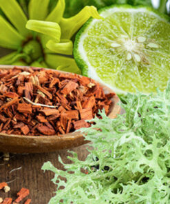 Aroma Musgo de Roble y Sandalo