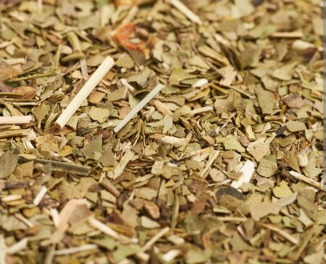 Yerba Mate hojas